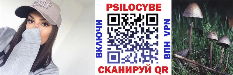 Галлюциногенные грибы прущие грибы Корсаков