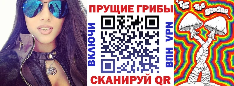 где продают   Корсаков  Галлюциногенные грибы Psilocybine cubensis 
